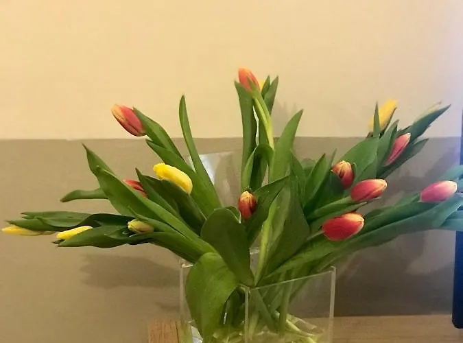 Apartmán Sonnino *